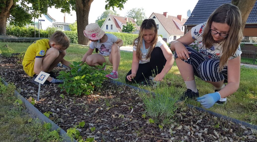 Schülern und Schülerinnen der Regionalen Schule am vorletzten Schultag vor den Sommerferien bei einem gemeinnützigen Einsatz am Haus der Jugend.
